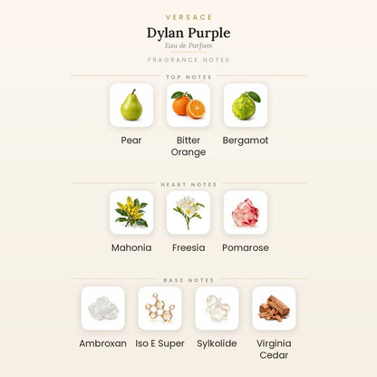 Fragrance note pyramid for Versace Dylan Purple Eau de Parfum 100ml showing Pear, Bitter Orange, Bergamot top notes, Mahonia, Freesia, Pomarose heart notes and Ambroxan, Iso E Super, Sylkolide base notes