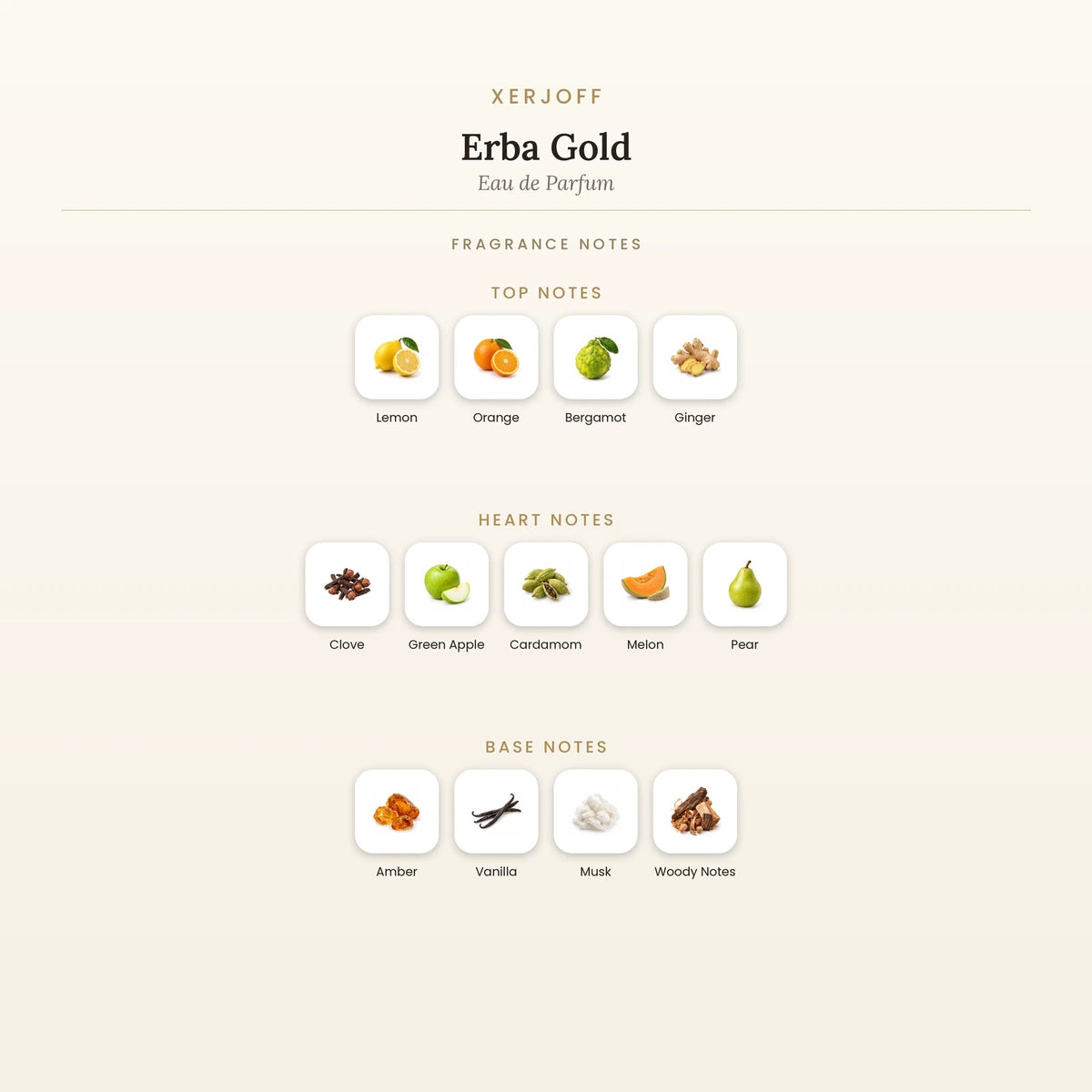 Fragrance note pyramid for Xerjoff Erba Gold Eau de Parfum showing Lemon, Orange top notes, Clove, Green Apple heart notes and Amber, Vanilla base notes
